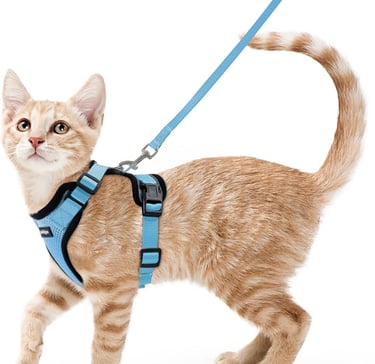 rabbitgoo Cat Harness and Leash for Walking, Escape Proof Soft Adjustable Vest Harnesses for Small