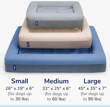 Casper Sleep Dog Bed, Plush Memory Foam, Small, Blue
