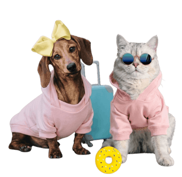 Un perrito y un gato con sudaderas rosas y gafas de sol, listos para vacacionar
