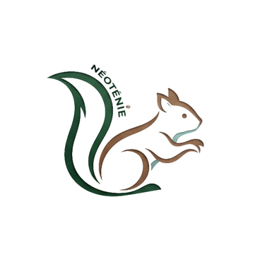 Néoténie animation nature