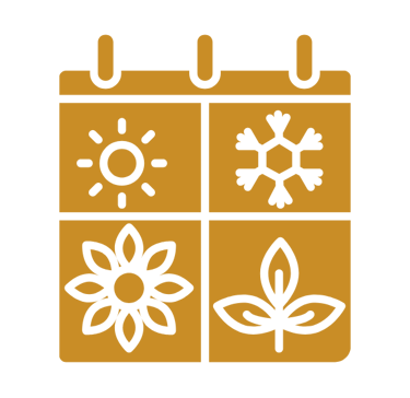 Piktograma: metų laikai