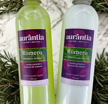  Botellas de champú y acondicionador de hierbas de romero natural para el cuidado del cabello graso