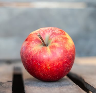 Pomme Elstar bio juteuse et parfumée cultivée en Savoie