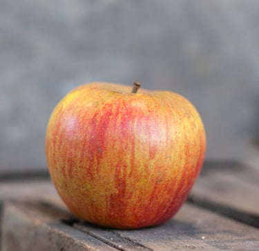 Pomme Reine des Reinettes bio du verger familial en Savoie - La Ferme du Coteau