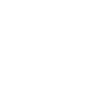 driveway cleaning