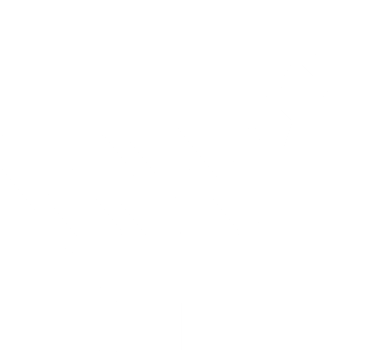 roof cleaning