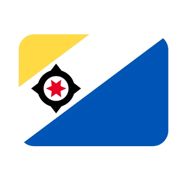 The national flag of Bonaire featuring a yellow triangle, blue triangle, and a white stripe with a black compass and red