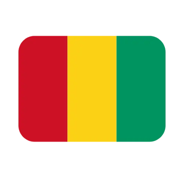 The national flag of Guinea with vertical red, yellow, and green stripes in a rounded rectangle icon.