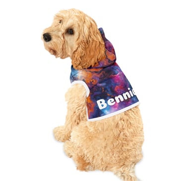 dog wearing colorful hoodie Bennie