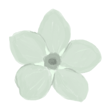 Sketched forget-me-not flower in pale green
