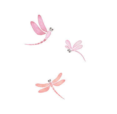 Pink Dragonflies Illustration for art prints, greeting cards and stationery