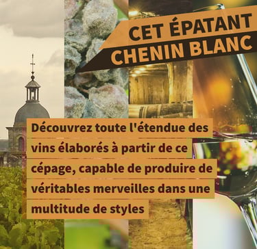 cours oenologie vin chenin loire