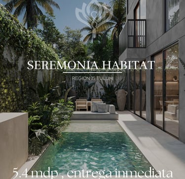 seremonia habitat, eco friendly homes for sale tulum wellness real estate riviera maya tulum condo