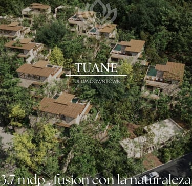 a large group of houses with a view of a forest