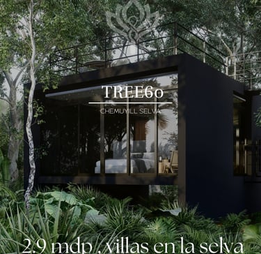 tree60 tulum, villas en la selva en tulum, treehouse