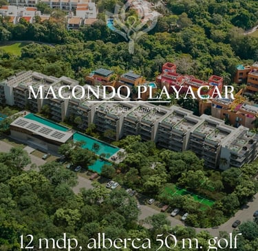 macondo playa del carmen, macondo corazon, macondo playacar, playacar