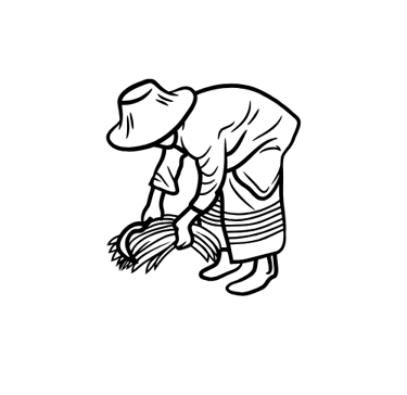 farming agricultire los cabos