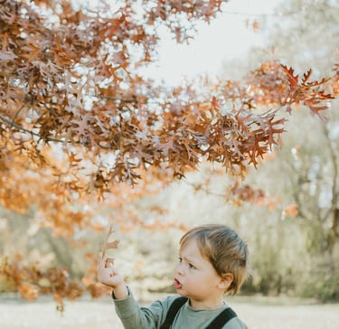 toddler playing with autumn leaves in Littlehampton in a candid photo session