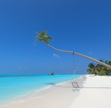 eau turquoise palmier maldives