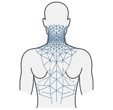 Holding patterns of the body caused by chronic tension and previous trauma