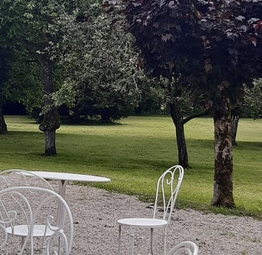 le parc pouvant être utilisé les jours de beau temps au Salon Antic et Thé à Quingey