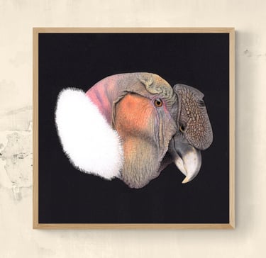 Wildlife Art Andean Condor