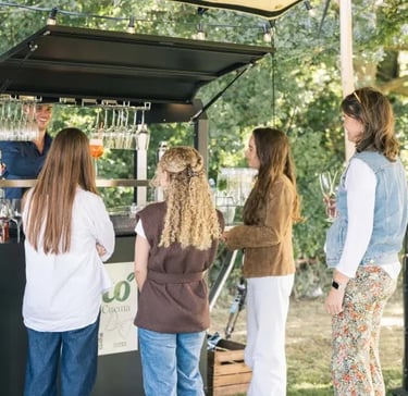 walking dinner haarlem