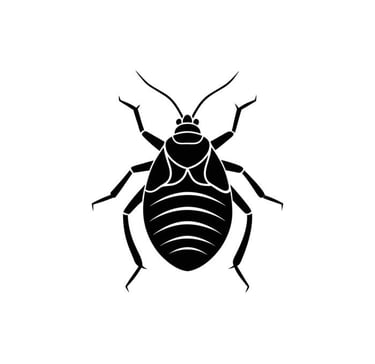 Pest Control Bed Bug Treatment in Menifee CA Footprint Pest Management