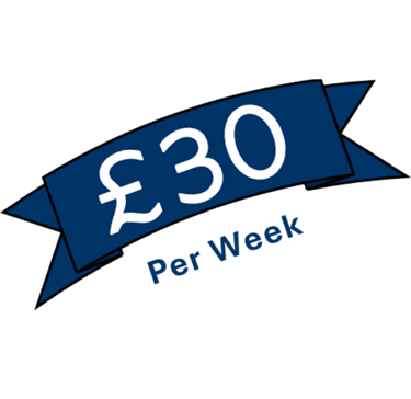 Remotivly Pro Plan for Remote Training Assistant, Teaching Assistant, Remote Travel Assistant