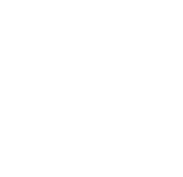 White phone icon
