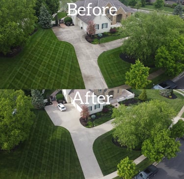 Before and after professional concrete cleaning on a residential driveway and sidewalk.