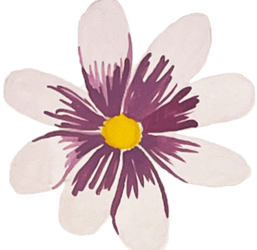 a purple flower with yellow center