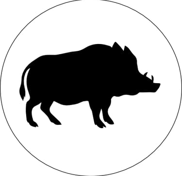 sanglier
