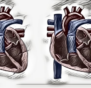 Hypertrophic Obstructive Cardiomyopathy (HOCM)  Dr. Anbarasu Mohanraj