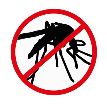 a mosquito fly insect insect insect insect insect insect insect insect insect insect insect insect insect