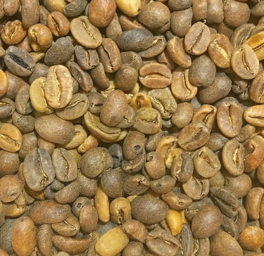 Arabica Indonesia Gayo Specialty wine process – fermented up to 60 days, fruity sweet, nutty and can