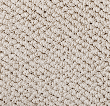 carpet cleaning service for berber carpet and loop carpet