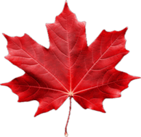 Independant Hearing Clinic - Hearing AIds - Canada Flag