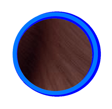 Le seal est la couleur la plus foncée du Ragdoll, elle va du marron clair au noir profond.