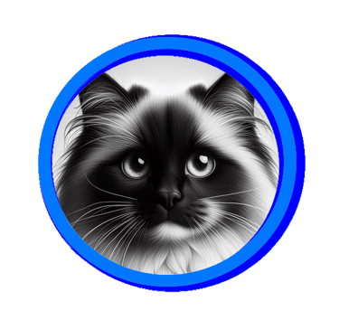 Toutes les extrémités du chat sont foncées.