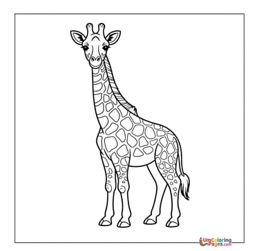 Giraffe eating leaves coloring template wildlife printable