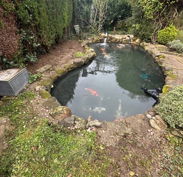 fish pond liner change, ponds liner replacement, lifetime ponds gallery