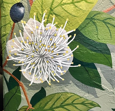 Détail peinture murale acrylique lessivable, fleur de myrte