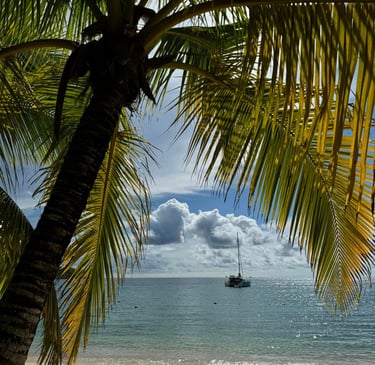 a sailboat is seen from the beach with palm trees