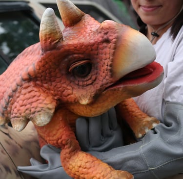 Tracy the triceratops