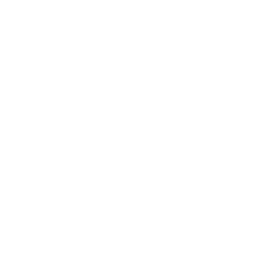 Aerialogists Logo - Design by Jerry Gibbons