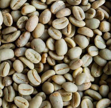 rabica Indonesia Gayo Specialty fully washed – fruity and jam-like (orange, lemon, berries), creamy 