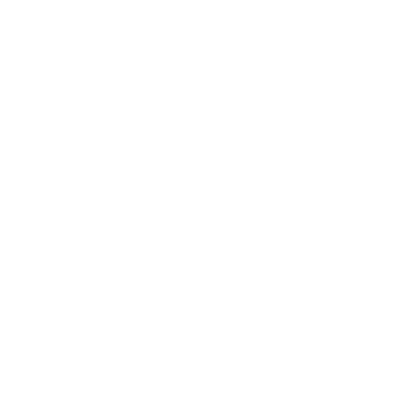un logo pour un programme d'entrainement aux échecs - Opawning chess training