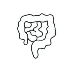 pictogramme intestin