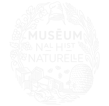 Logo du Muséum national d'Histoire naturelle de Paris